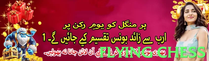 flying chess Pakistan - 3